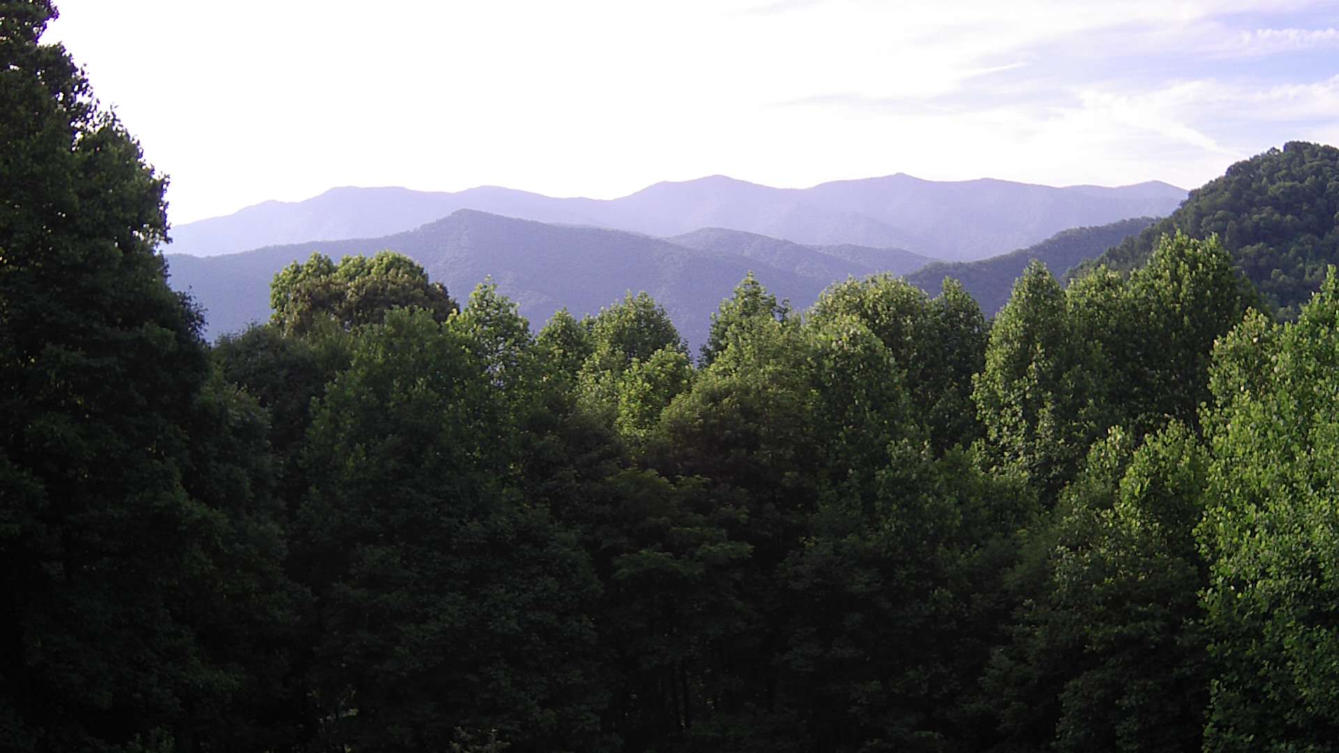click for next image... slideshow image