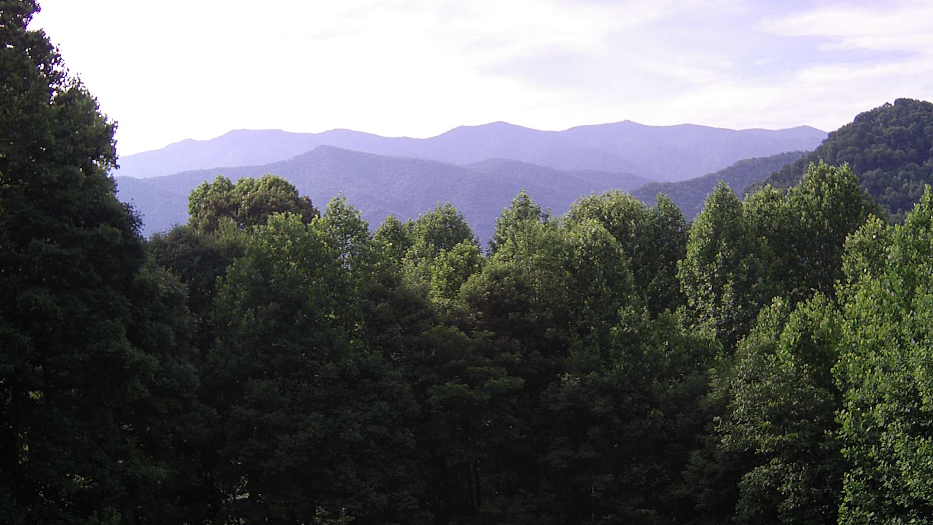 click for next image... slideshow image
