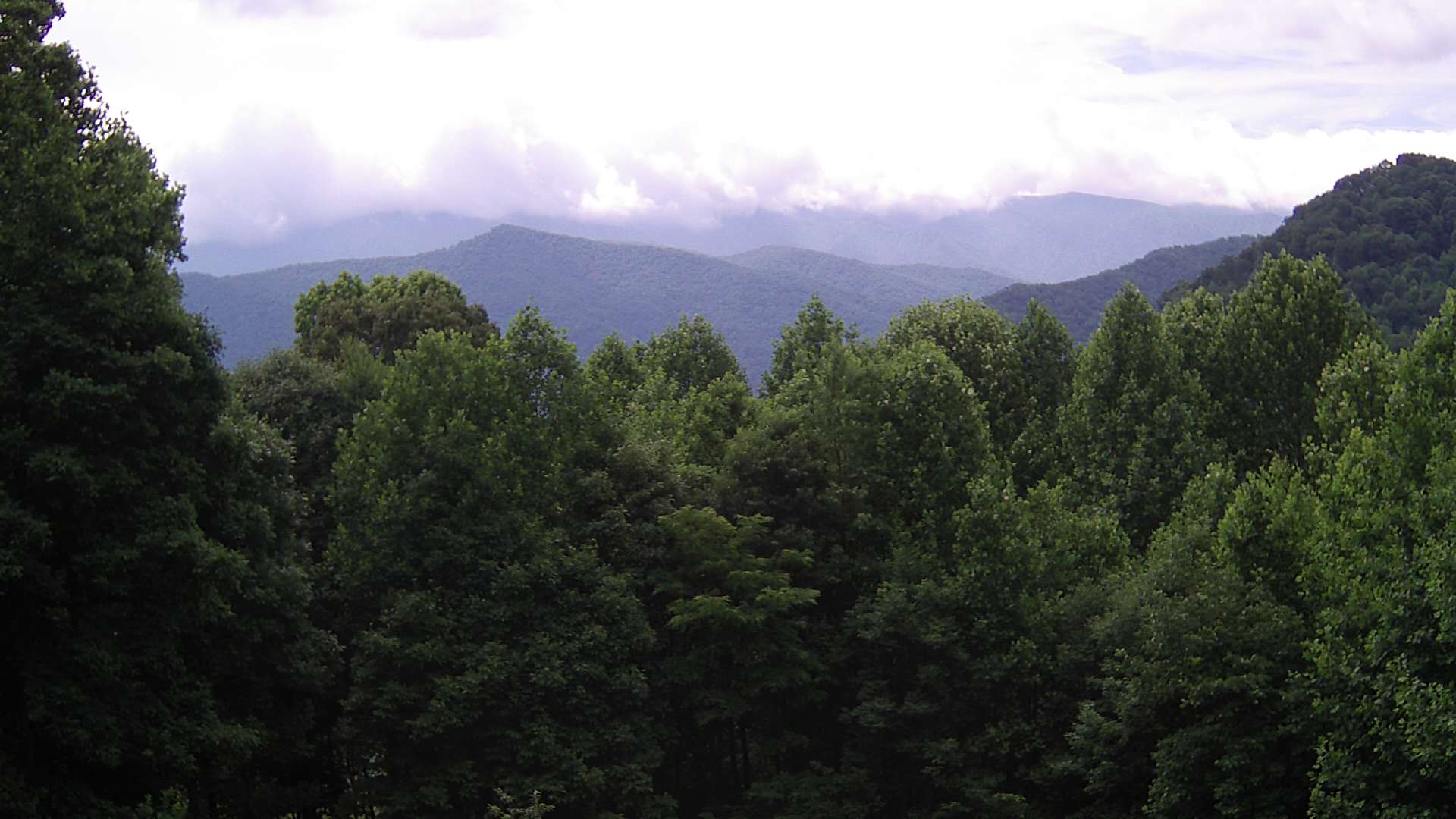 click for next image... slideshow image