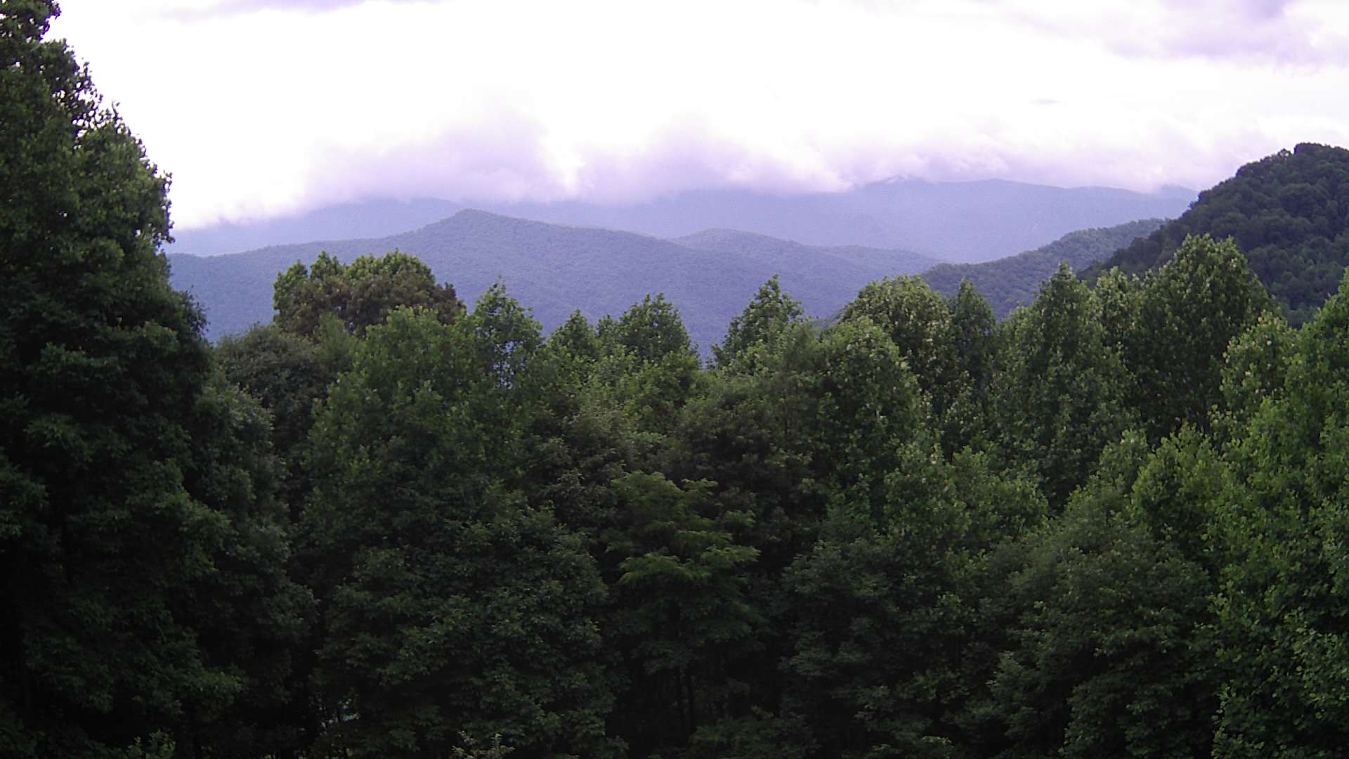 click for next image... slideshow image