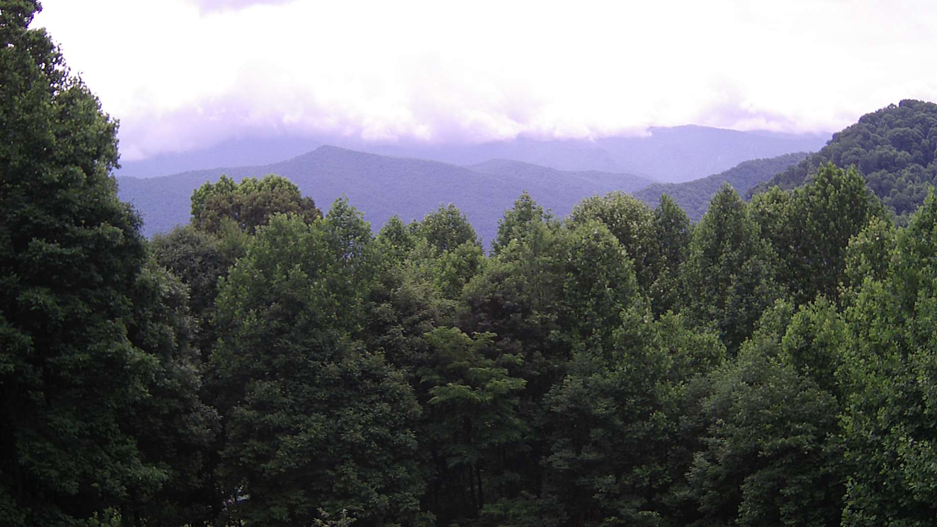 click for next image... slideshow image