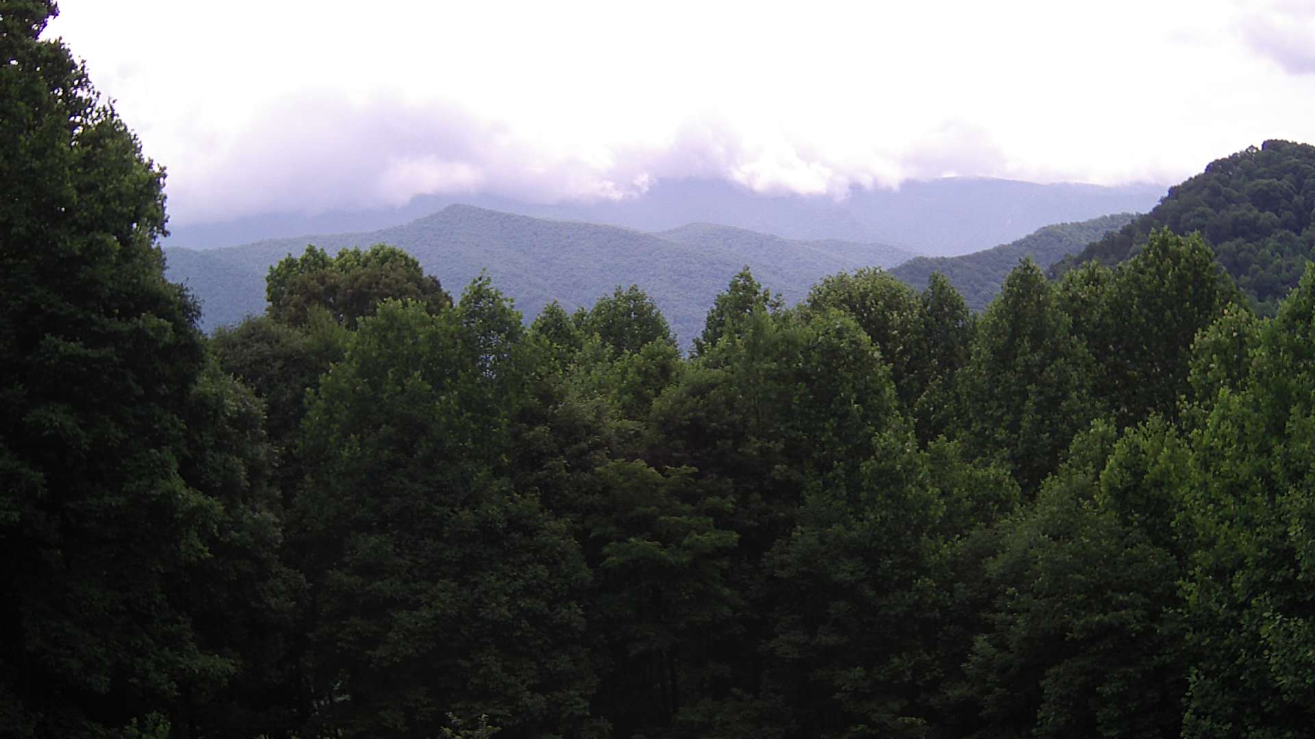 click for next image... slideshow image