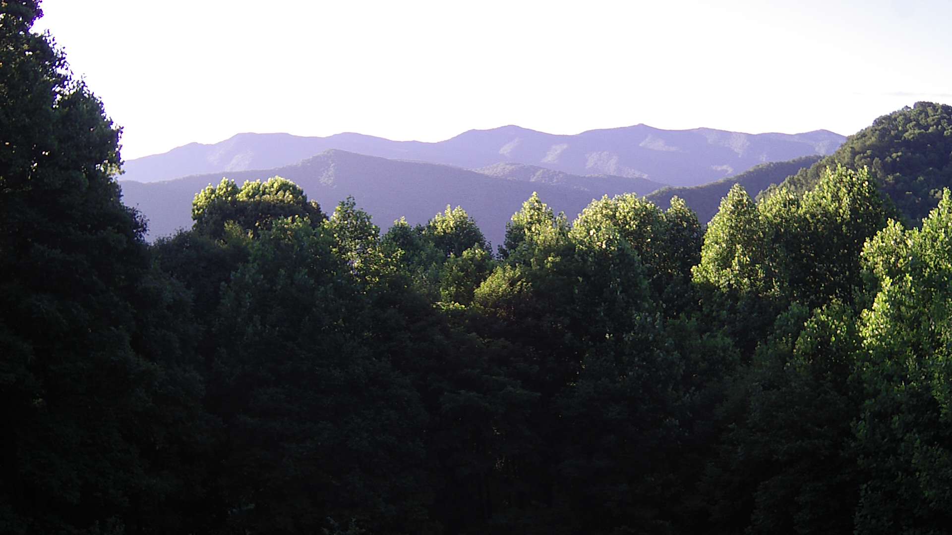 click for next image... slideshow image